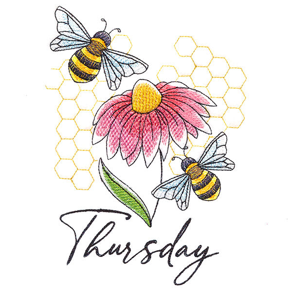 Honeybees & Echinacea On Thursday