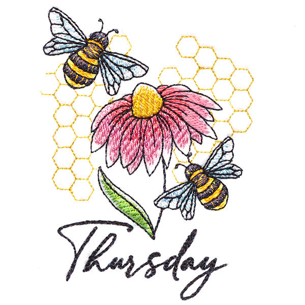 Honeybees & Echinacea On Thursday