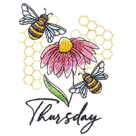 Honeybees & Echinacea On Thursday