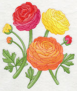 Radiant Ranunculus 2