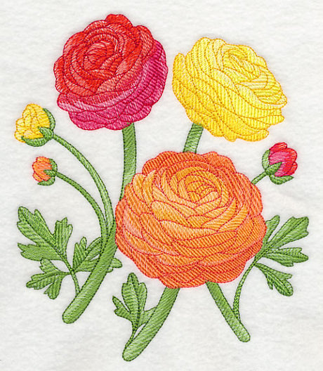 Radiant Ranunculus 2