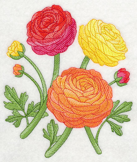 Radiant Ranunculus 2