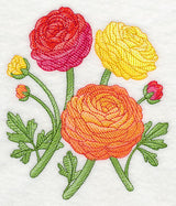 Radiant Ranunculus 2