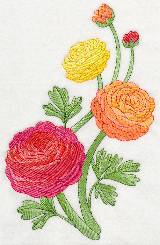 Radiant Ranunculus Spray