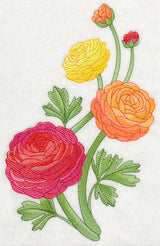 Radiant Ranunculus Spray