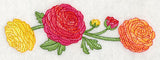 Radiant Ranunculus Border