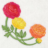 Radiant Ranunculus Corner