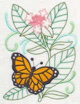 Monarch With Milkweed