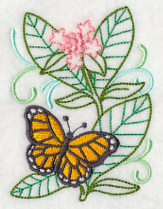 Monarch With Milkweed