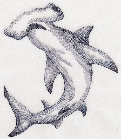 Hammerhead Shark Sketch