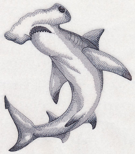 Hammerhead Shark Sketch