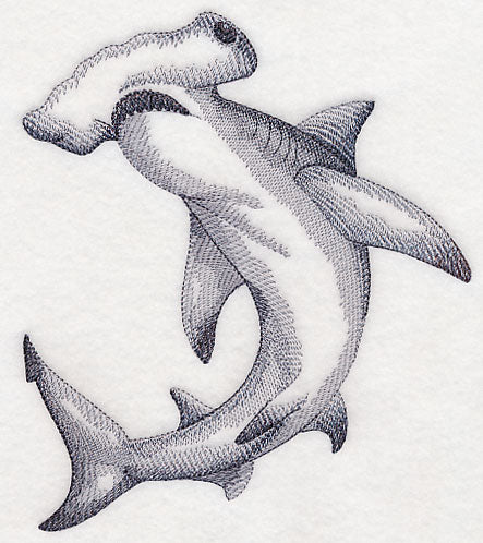 Hammerhead Shark Sketch