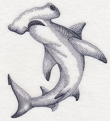 Hammerhead Shark Sketch