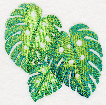 Monstera Leaves in Watercolor