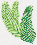 Royal Palm Fronds in Watercolor