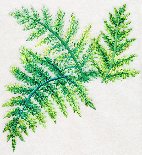 Ferns in Watercolor