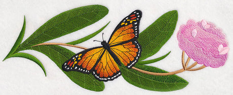 Monarchs and Milkweed Border