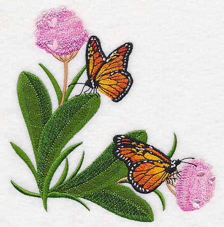 Monarchs and Milkweed Corner