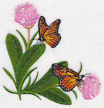 Monarchs and Milkweed Corner