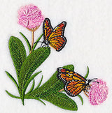 Monarchs and Milkweed Corner