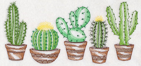 Prickly Pretty Cacti