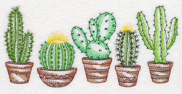 Prickly Pretty Cacti
