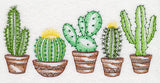 Prickly Pretty Cacti