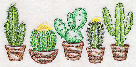 Prickly Pretty Cacti