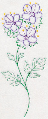 Mountain Phacelia (Vintage)