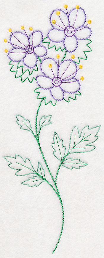 Mountain Phacelia (Vintage)