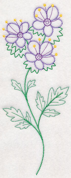 Mountain Phacelia (Vintage)