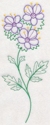 Mountain Phacelia (Vintage)