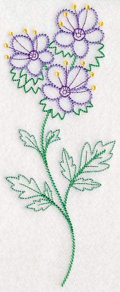 Mountain Phacelia (Vintage)