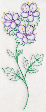 Mountain Phacelia (Vintage)