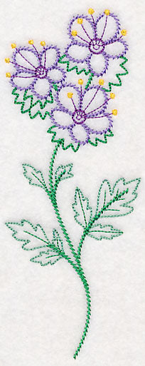 Mountain Phacelia (Vintage)