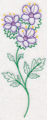 Mountain Phacelia (Vintage)