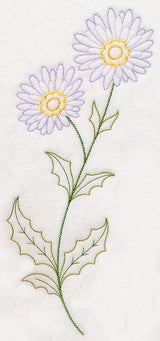 Mountain Aster (Vintage)