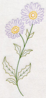 Mountain Aster (Vintage)