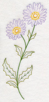 Mountain Aster (Vintage)