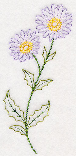 Mountain Aster (Vintage)