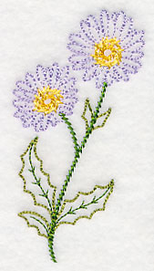 Mountain Aster (Vintage)
