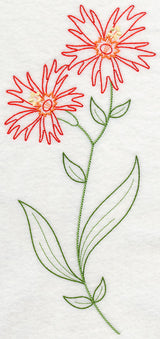 Indian Pink (Vintage)