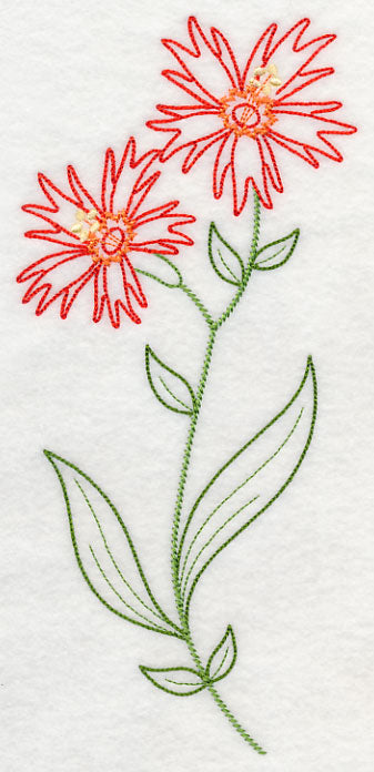 Indian Pink (Vintage)