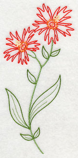 Indian Pink (Vintage)