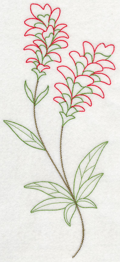Indian Paintbrush (Vintage)