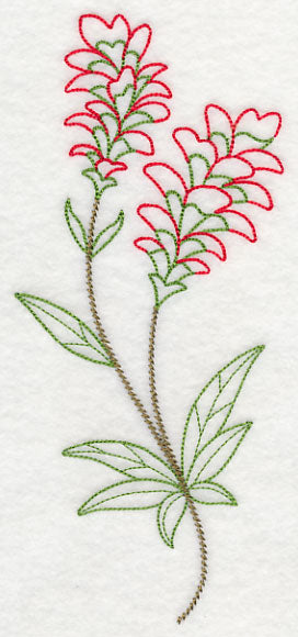 Indian Paintbrush (Vintage)