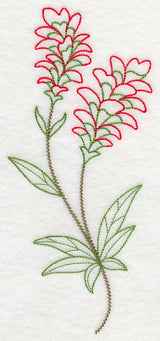 Indian Paintbrush (Vintage)
