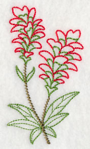 Indian Paintbrush (Vintage)