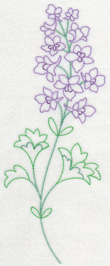 Foothill Larkspur (Vintage)