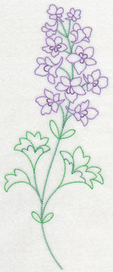 Foothill Larkspur (Vintage)